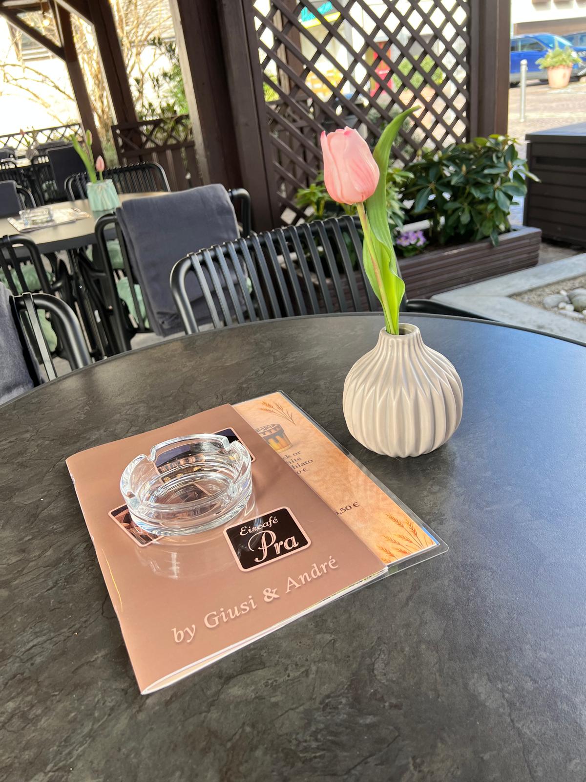 Tulipano in Terrazza